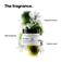 Metal Detox Masque - 150ml